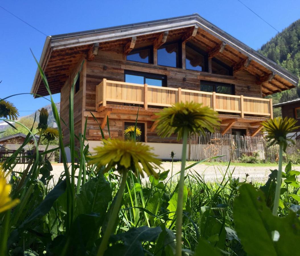 Chalet Le Petit Nicolas, Jacuzzi, Vue Mont Blanc Шамони Экстерьер фото